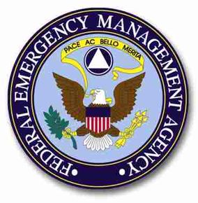 FEMA badge