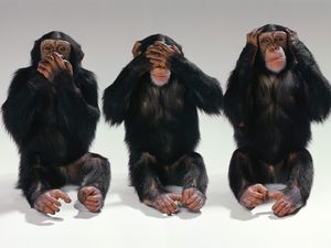 hear,see,speak no evil