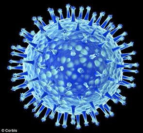 flu virus
