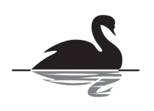 Black Swan