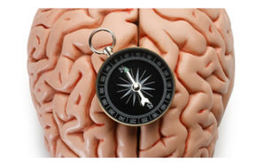 Brain Compass