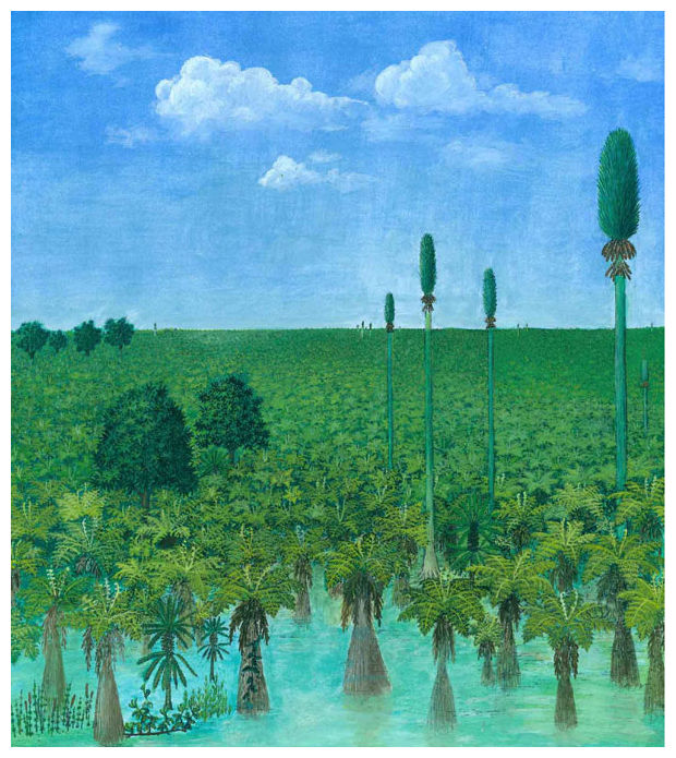 buried_forest_edited.jpg