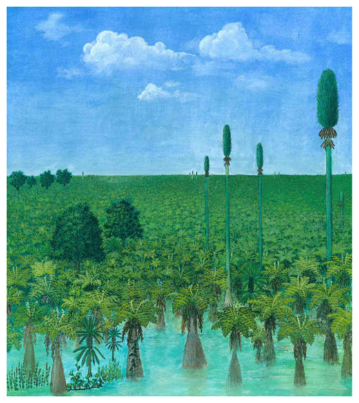 Ash Covered Forest