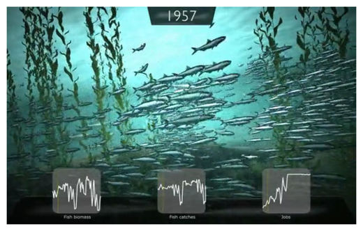 Click to enlarge Ocean Fishes