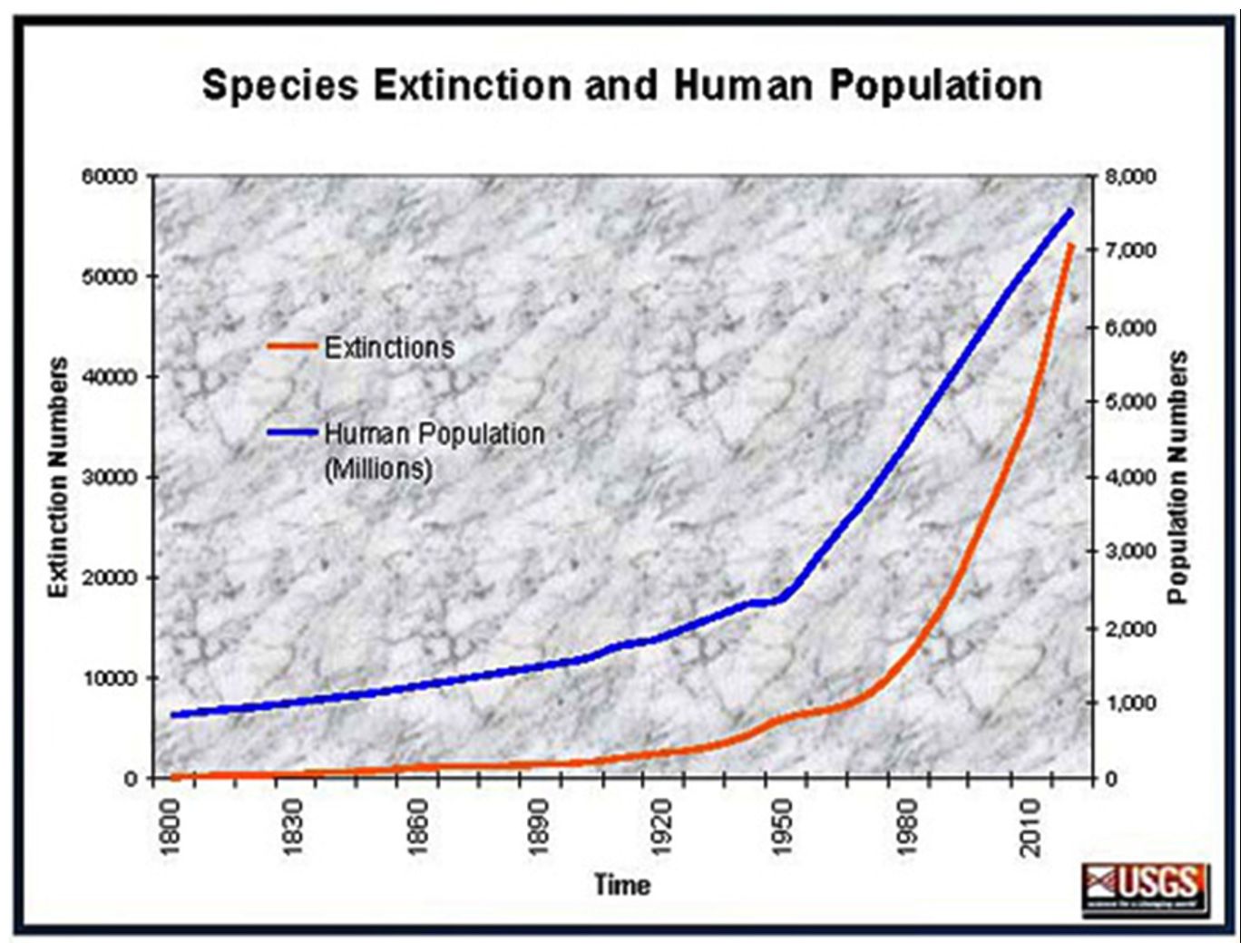 New Study: Species Are Going Extinct 1,000 Times Faster Since People