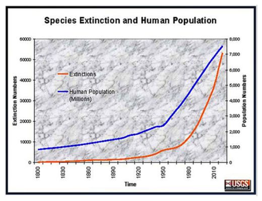 Species Extinction