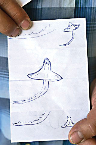 Click to enlarge Flathead lake monster