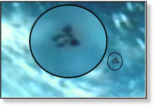 Strange object near ISS ufo