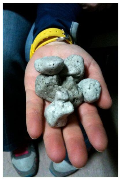 Pumice Rocks