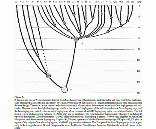 Click to enlarge Human Family Tree