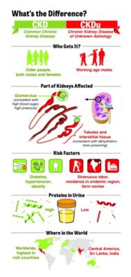 CKD