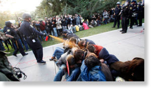 ap_occupy_pepper_spray_nt_1111.jpg