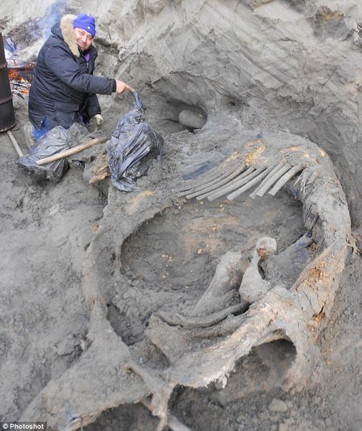 Click to enlarge mammoth