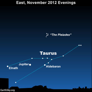 Click to enlarge
