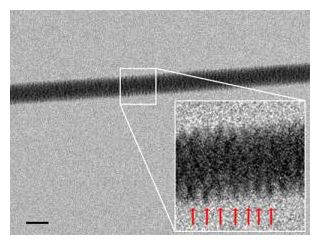 dna imaging
