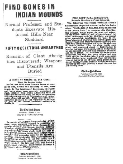 newspaper_clips.jpg