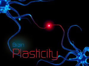 UCSF_Brain_Plasticity.jpg