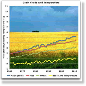 grain_yields_and_temperature.jpg