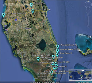 Florida_Meteor_17FEB2013_v_1.jpg