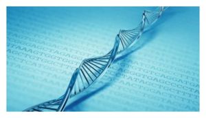 dna_strand_blue_tgac_300x165.jpg