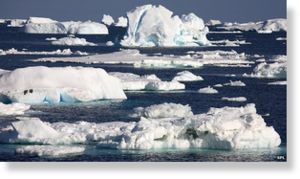 _66691749_e2250219_antarctic_s.jpg