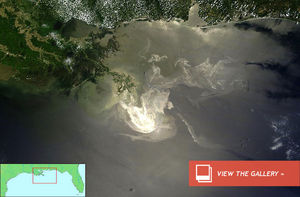 dnews_files_2013_04_gulf_oil_s.jpg