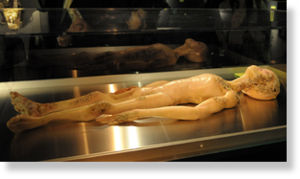 fbi_ufo_roswell_incident_si.jpg