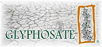 Glyphosate_Monsanto_Logo_Crack.jpg