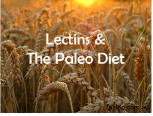 The_Paleo_Diet_Lectins_Grains_.png