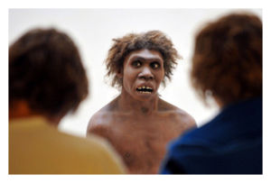 neanderthal_prey_660.jpg