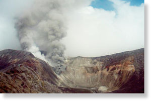 View full size ff.jpg