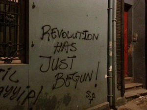 occupy_turkey_justin_wedes_rev.jpg