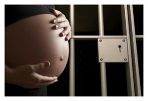pregnant_prison_485x322.jpg