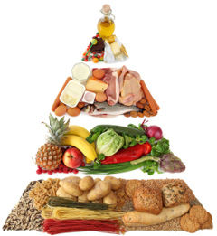 food_pyramid.jpg