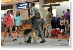 080313_met_airport_2.jpg