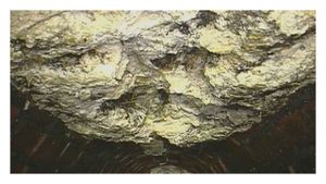 county_clean_fatberg_image.jpg
