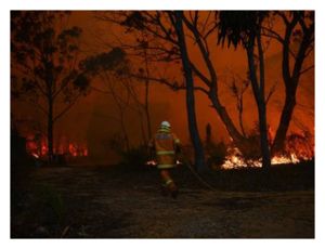 sydney_fire_8.jpg