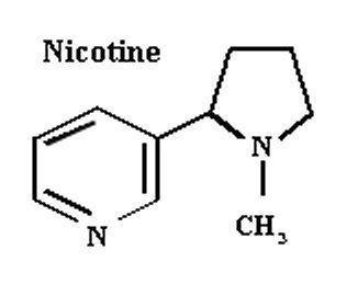 nicotine structure acid niacin molecular nicotinic vs hydrogen sott unlabelled carbon