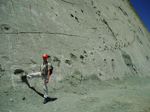 cal orko wall of dinosaur footprints sucre bolivia (2)