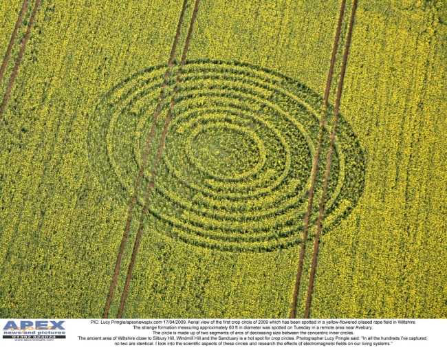 first 2009 crop circle