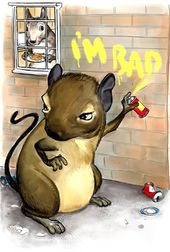 Click to enlarge Rat