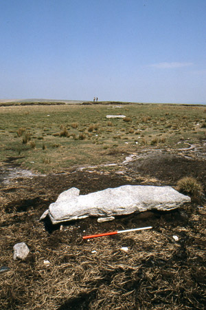Click to enlarge Image