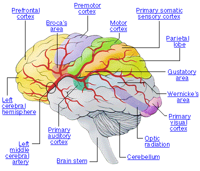 Click to enlarge Image