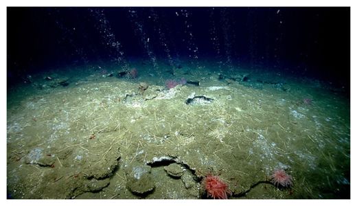 Methane bubbles