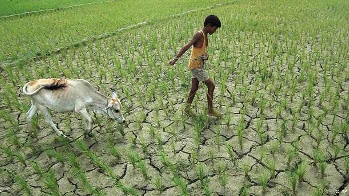 drought in South Asia
