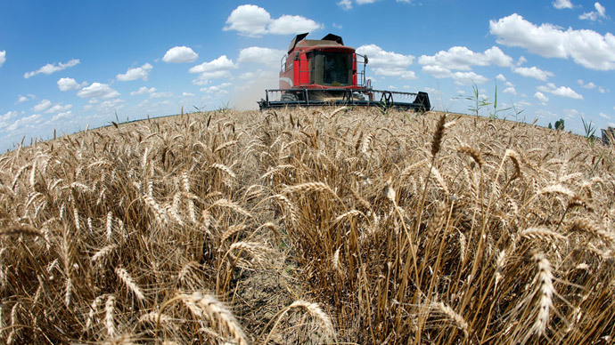 Grain harvester