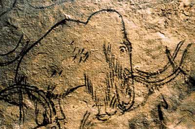 mammoth wall drawing