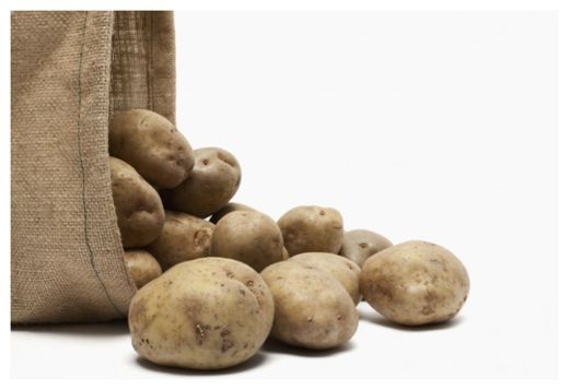 GMO Potatoes