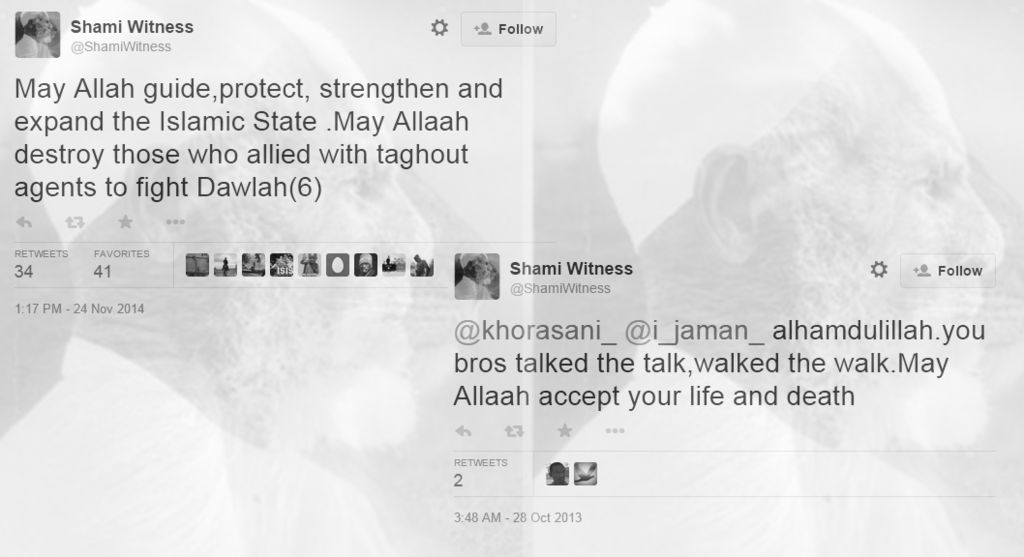 Shami Witness