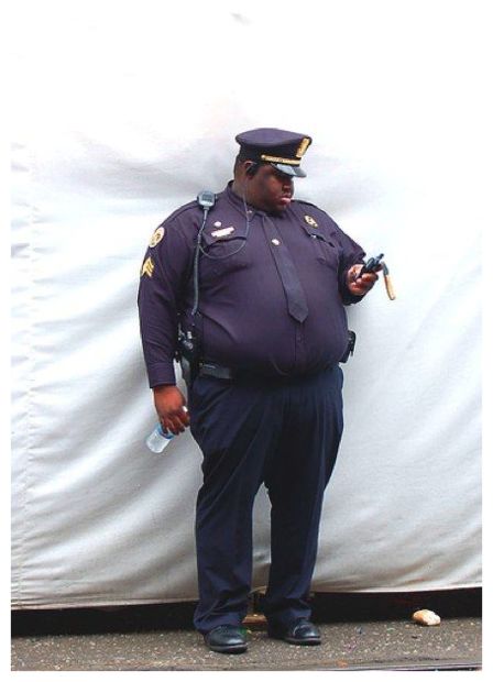 Fat Police